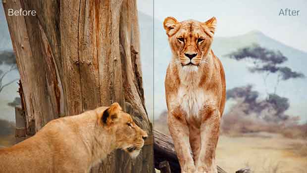 Ice-Photoshop-Action